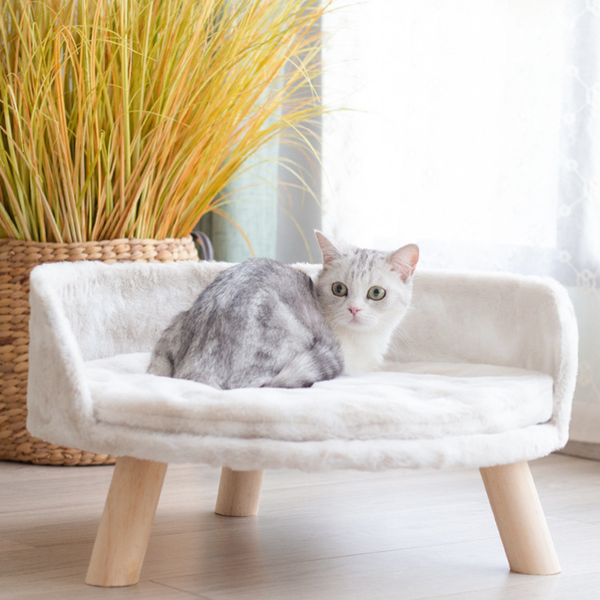 Plush Luxury Cat Bed With Cozy Cushion Pad Pet Beds