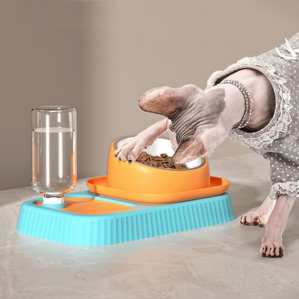 3 In 1 Pet Food Container With Automatic Drinking Bottle Dishes Feeders & Fountains