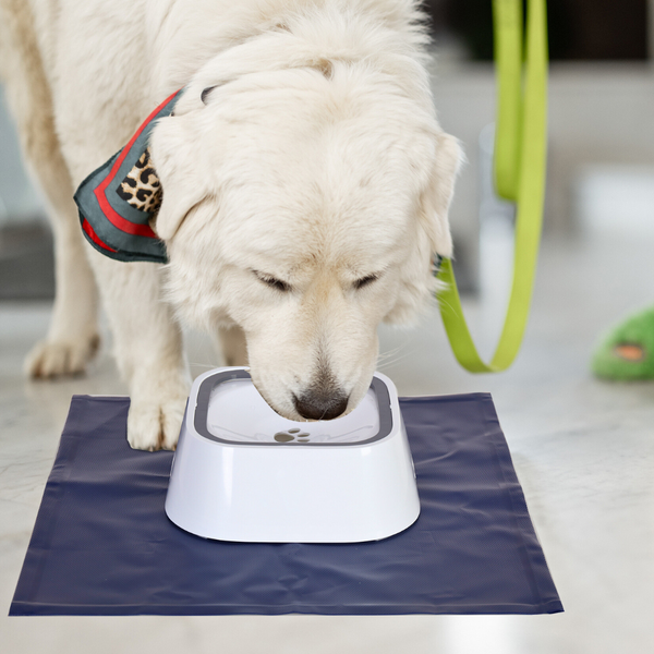 Floating Pet Water Bowl With Waterproof Mat Dog Bowls