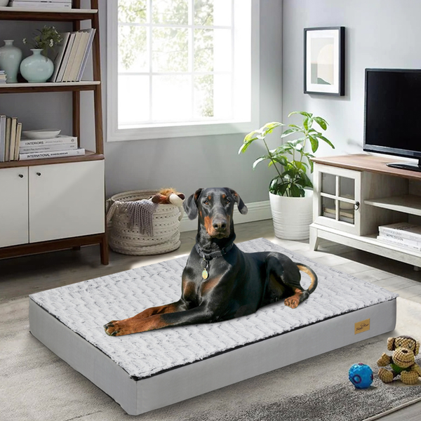Gray Orthopedic Pet Calming Bed Soft Sponge Foam Base With Removable Cover Pet Beds