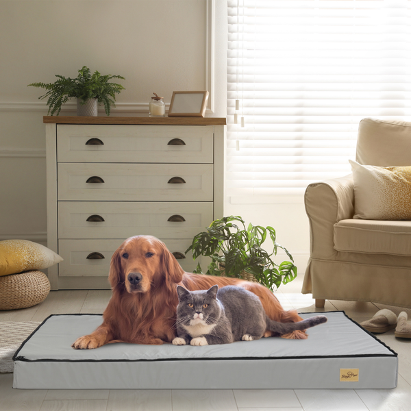 Gray Orthopedic Pet Calming Bed Soft Sponge Foam Base With Removable Cover Pet Beds