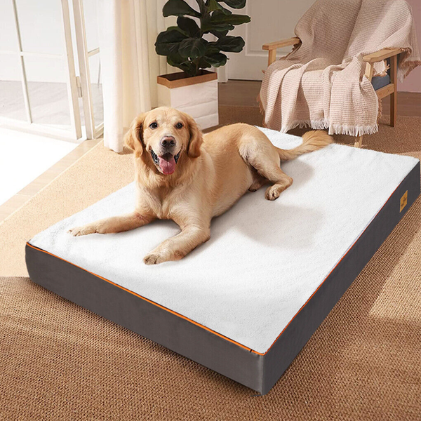 Gray Orthopedic Pet Calming Bed Soft Sponge Foam Base With Removable Cover Pet Beds