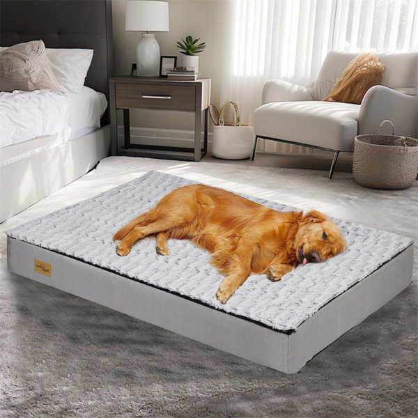 Gray Orthopedic Pet Calming Bed Soft Sponge Foam Base With Removable Cover Pet Beds