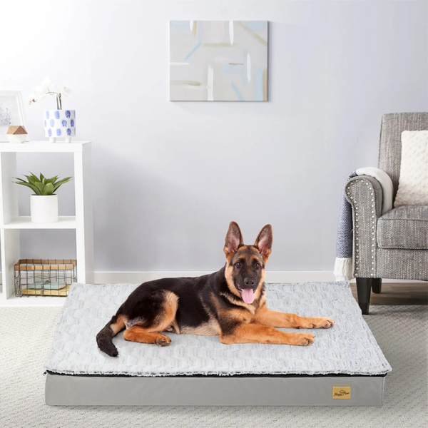 Gray Orthopedic Pet Calming Bed Soft Sponge Foam Base With Removable Cover Pet Beds