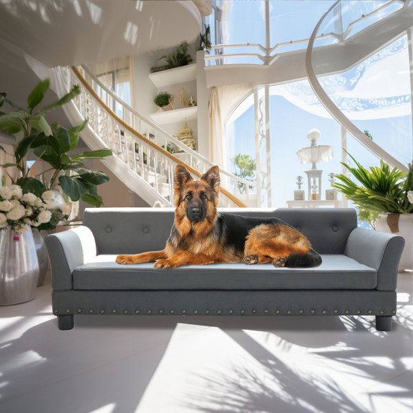 Luxurious Elevated Dog Bed Sofa With Microfiber Leather Cover Pet Beds