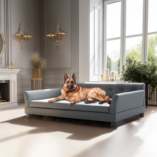 Luxurious Elevated Dog Bed Sofa With Microfiber Leather Cover Pet Beds
