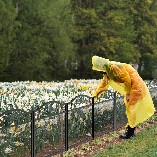 5 Panel Garden Entry Path Fence Black Metal Barrier Border Fence Panels