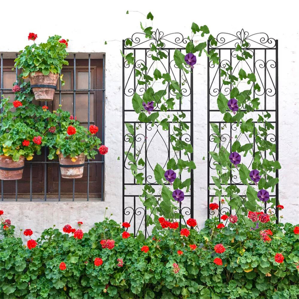 6 Panels Garden Border Trellis High Metal Climbing Plants Support Trellises