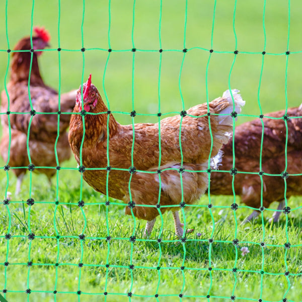 Electric Fence Netting Pe Fencing With Posts & Double Spiked Stakes Electric Fencing