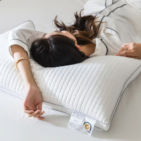 Luxurious 2 Pack Quality Hotel Grade Cotton Covers Pillows