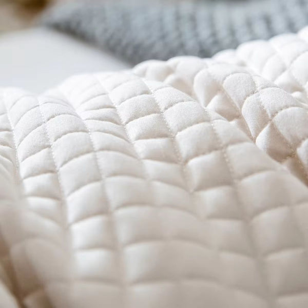 Luxurious 2 Pack Quality Hotel Grade Cotton Covers Pillows