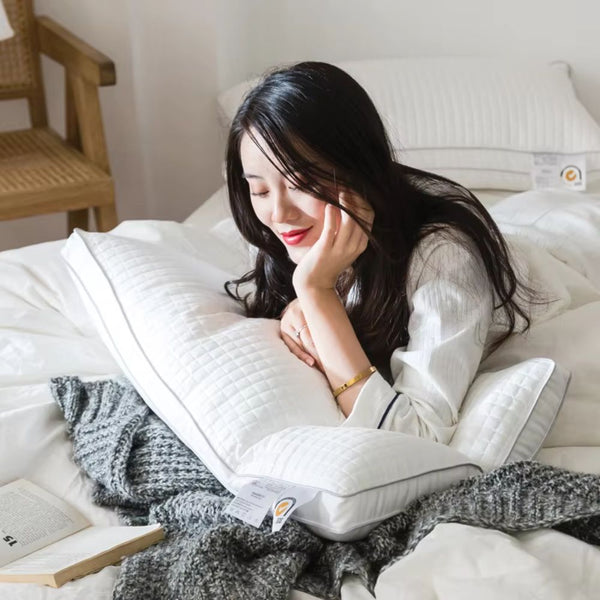 Luxurious 2 Pack Quality Hotel Grade Cotton Covers Pillows