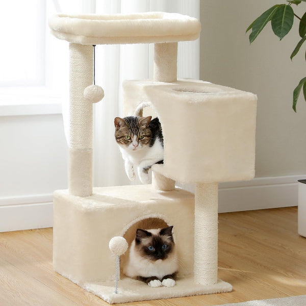 Cat Tower With Double Condo For Kittens Indoor Large Top Perch Furniture & Scratchers