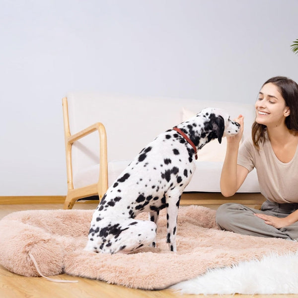 Pet Dog Bed Couch Sofa For Large Dogs Pet Beds