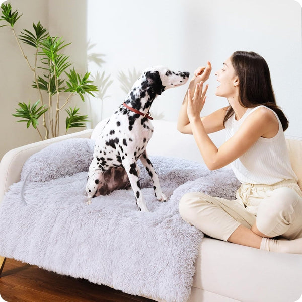 Pet Dog Bed Couch Sofa For Large Dogs Pet Beds