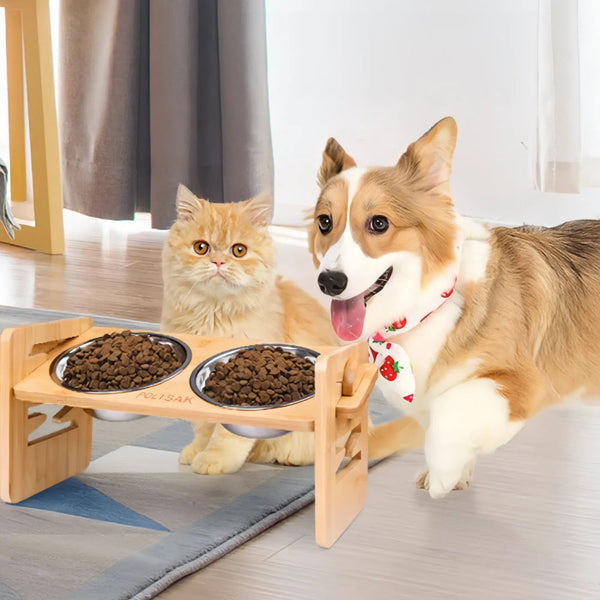 Bamboo Elevated With Stainless Steel Food Dog Bowls