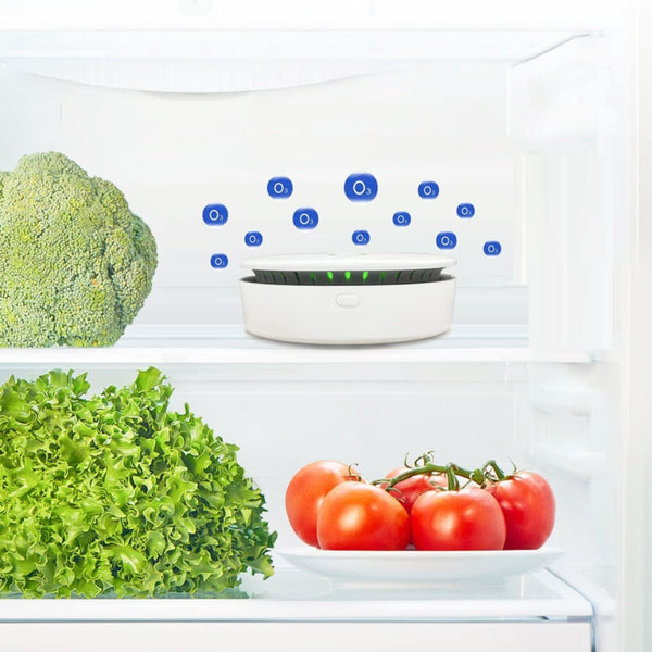 Ozone Ionic Air Purifier 2 In 1 Eliminate Odor For Home Car Refrigerator Shoe Cabinet Pet Room Bag Air Purifiers