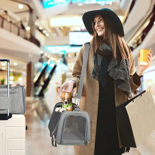 Airline Pet Carrier Bag Backpack For Small Dogs And Cats Small Animal Supplies