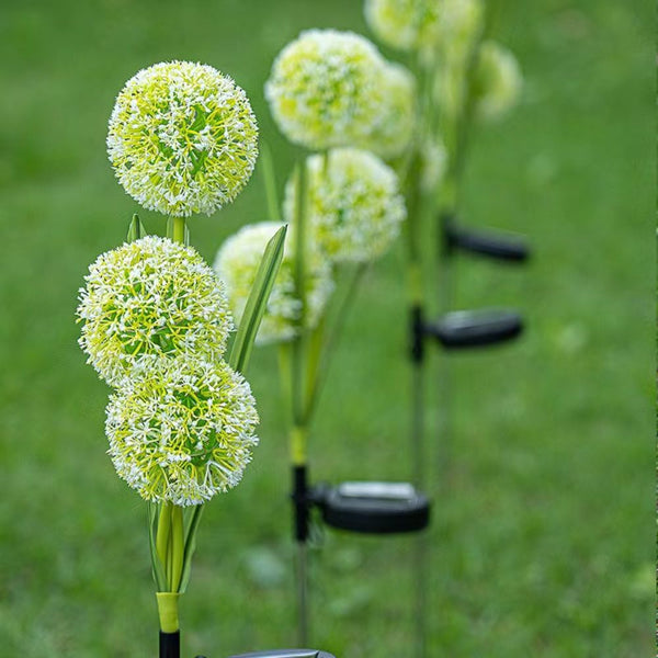 Solar Dandelion Light For Garden Decoration Garden & Patio Torches