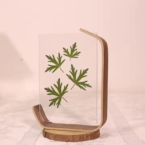 Picture Frame Swing Table Diy Transparent Herbarium Display Photo Frames