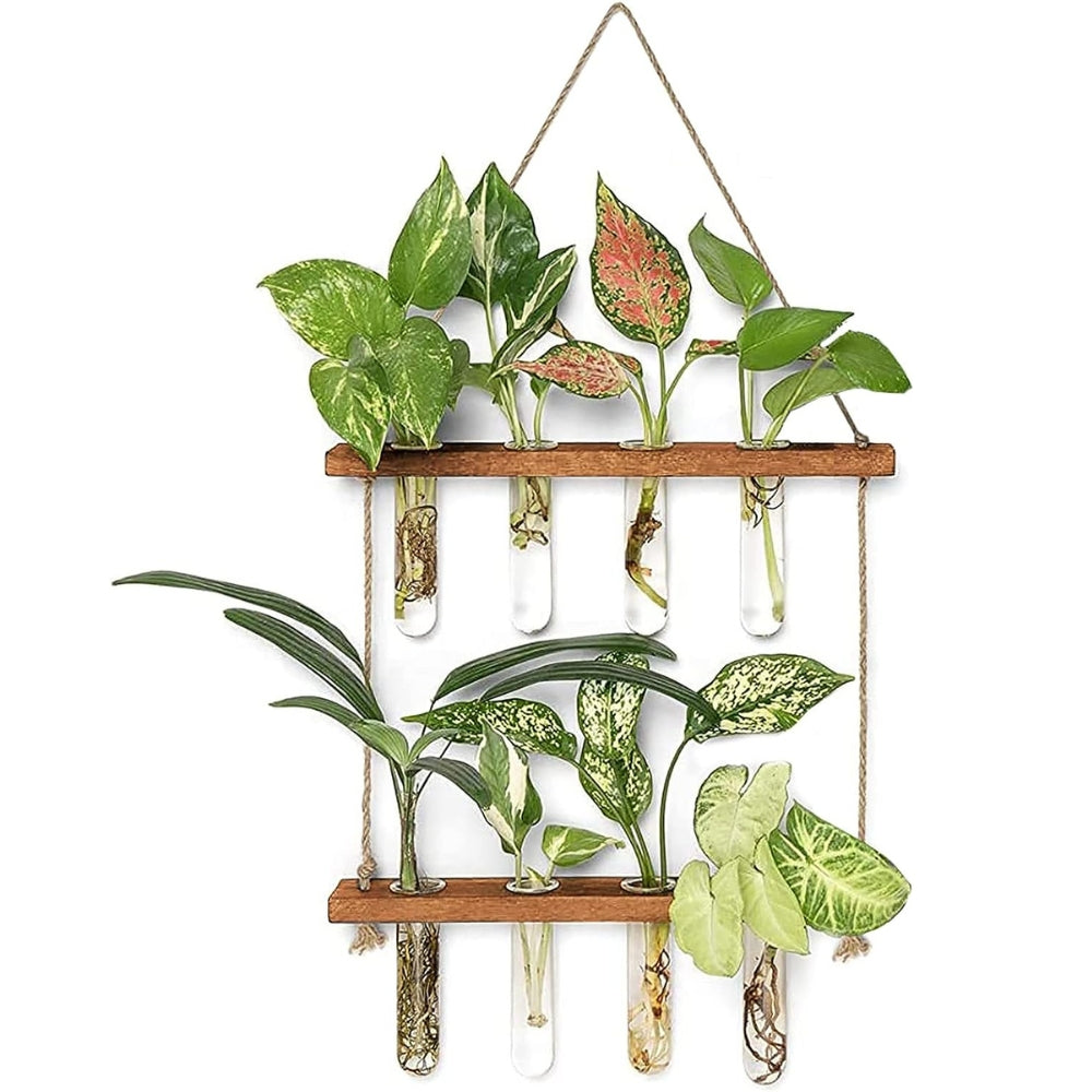 2 Layer Glass Wall Hanging Planter With Wooden Stand Posters & Wall Hangings