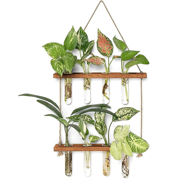 2 Layer Glass Wall Hanging Planter With Wooden Stand Posters & Wall Hangings
