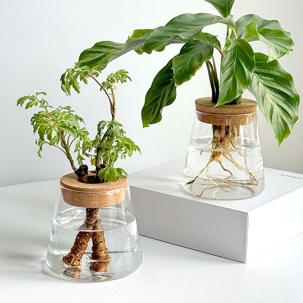 Hydroponic Plants Glass Flower Pots Home Decoration Transparent Small Vase Planters & Vases