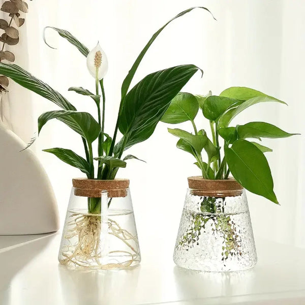 Hydroponic Plants Glass Flower Pots Home Decoration Transparent Small Vase Planters & Vases