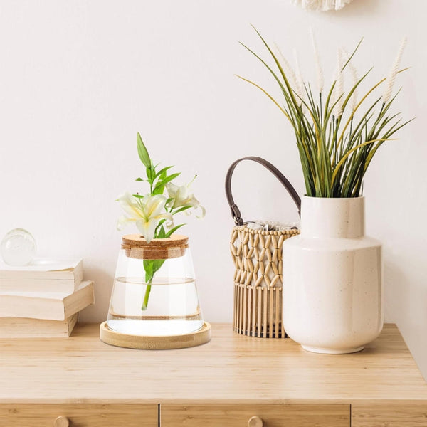 Hydroponic Plants Glass Flower Pots Home Decoration Transparent Small Vase Planters & Vases