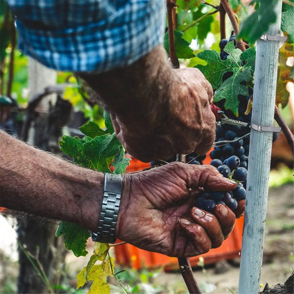 Stainless Steel Self Locking Cable Zip Ties Wrap Cable Ties & Organisers