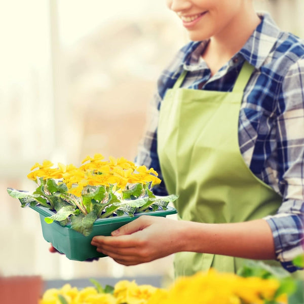 Plant Seed Grow Box Propagation Nursery Seedling Starter Tray Seed Starter