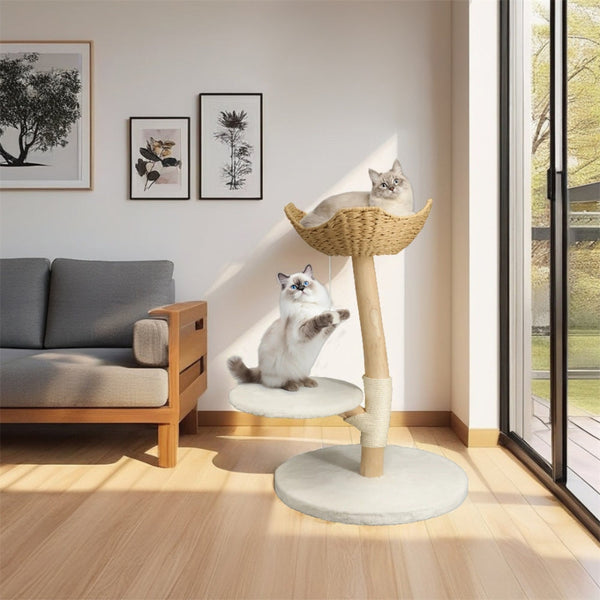 Modern Cat Tree Solid Wood Kitten Scratching Activity Tower Furniture & Scratchers