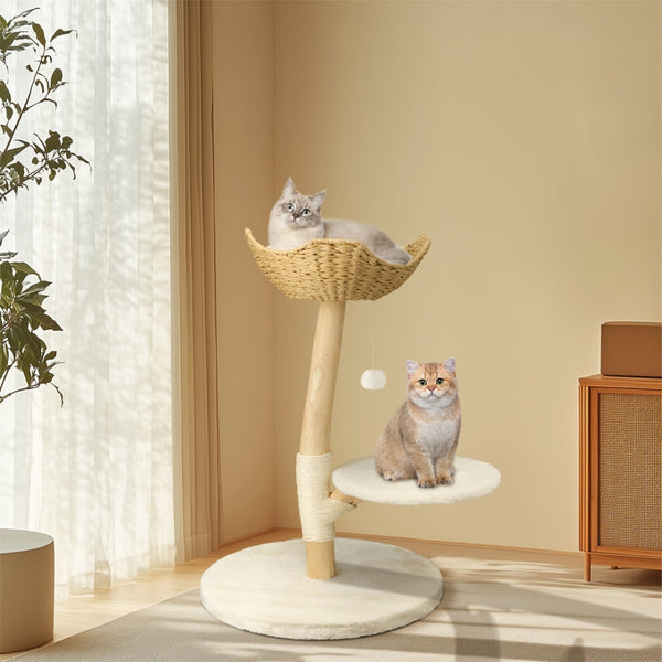 Modern Cat Tree Solid Wood Kitten Scratching Activity Tower Furniture & Scratchers