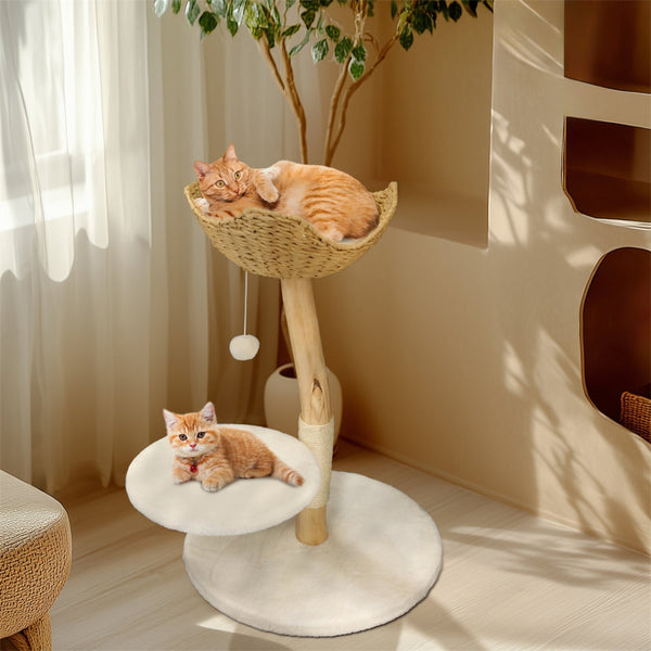 Modern Cat Tree Solid Wood Kitten Scratching Activity Tower Furniture & Scratchers