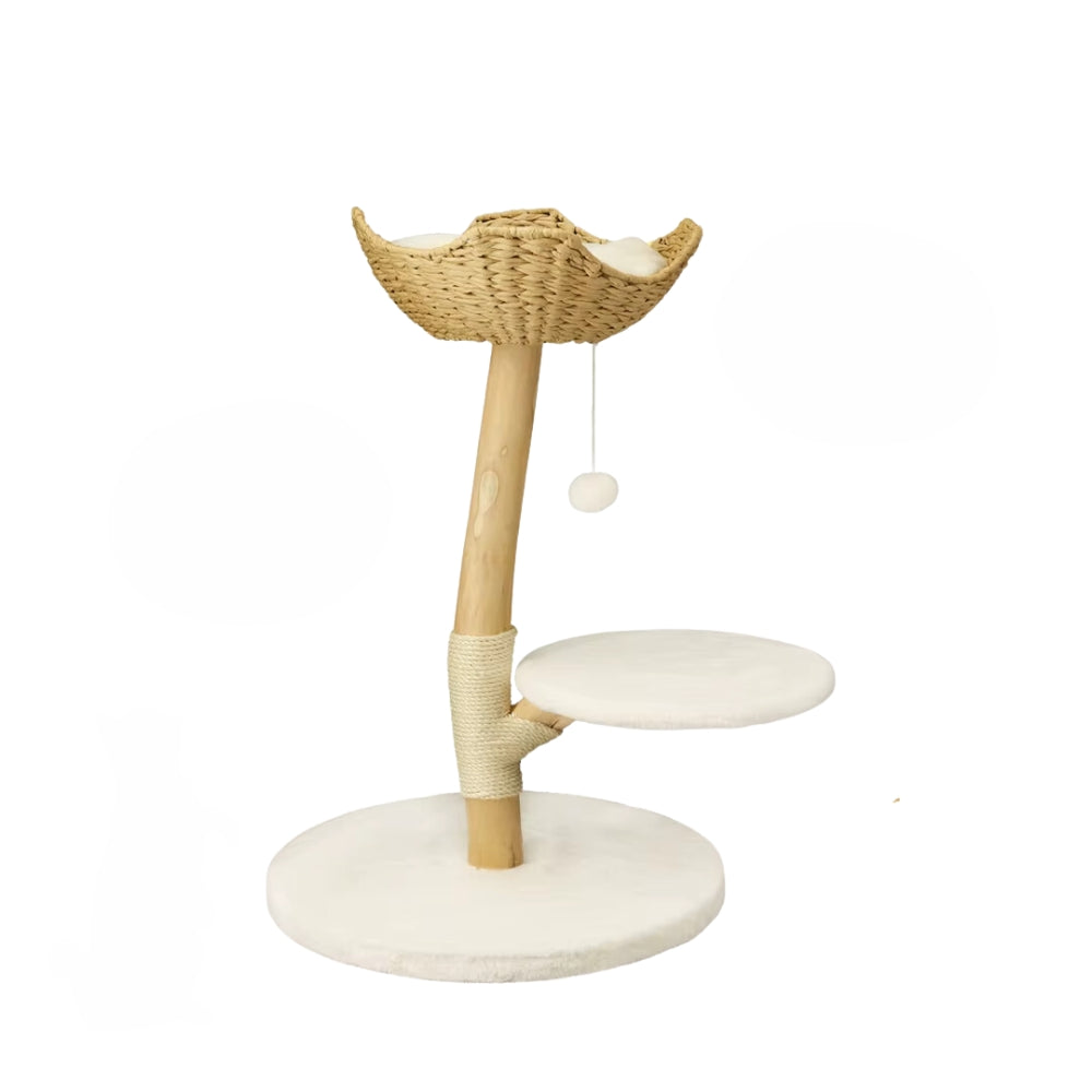 Modern Cat Tree Solid Wood Kitten Scratching Activity Tower Furniture & Scratchers