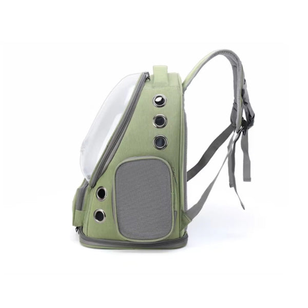 Pet Carrier For Cats And Small Dogs Small Animal Supplies