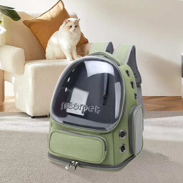 Pet Carrier For Cats And Small Dogs Small Animal Supplies