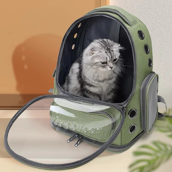 Pet Carrier For Cats And Small Dogs Small Animal Supplies