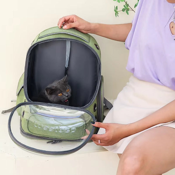 Pet Carrier For Cats And Small Dogs Small Animal Supplies