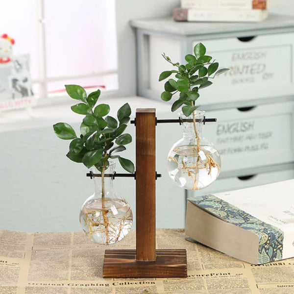 Modern Glass Bulb Vase With Wooden Stand For Hydroponic Plants Vases