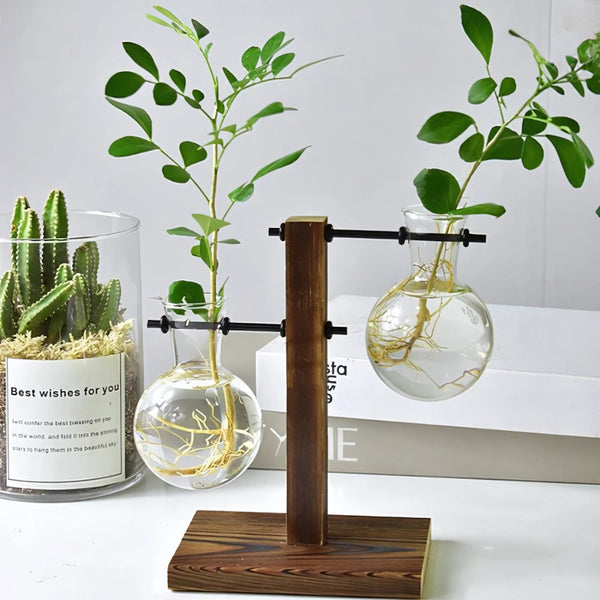 Modern Glass Bulb Vase With Wooden Stand For Hydroponic Plants Vases
