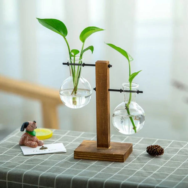 Modern Glass Bulb Vase With Wooden Stand For Hydroponic Plants Vases