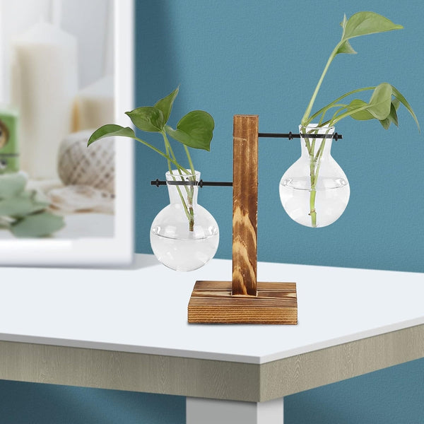 Modern Glass Bulb Vase With Wooden Stand For Hydroponic Plants Vases