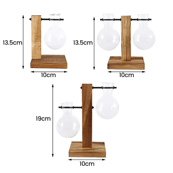 Modern Glass Bulb Vase With Wooden Stand For Hydroponic Plants Vases