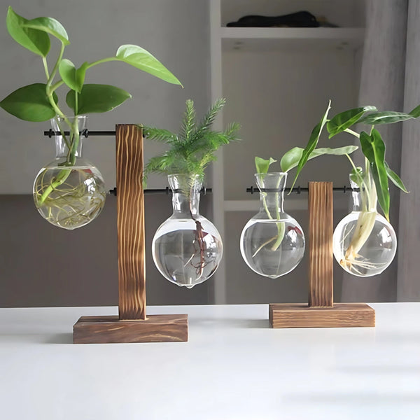Modern Glass Bulb Vase With Wooden Stand For Hydroponic Plants Vases