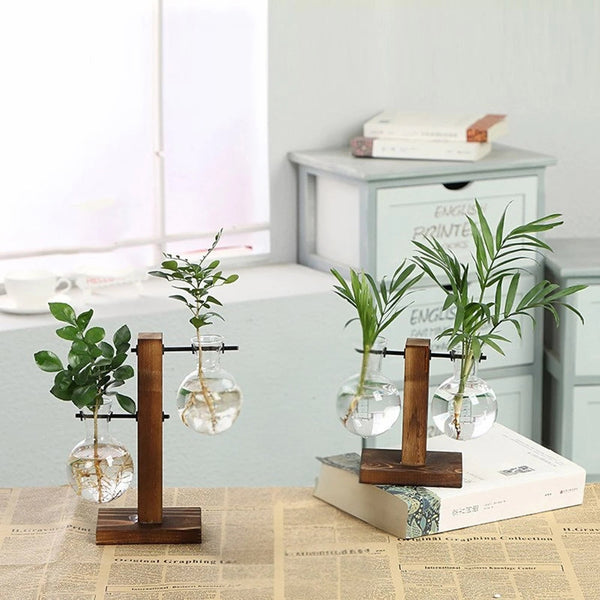 Modern Glass Bulb Vase With Wooden Stand For Hydroponic Plants Vases