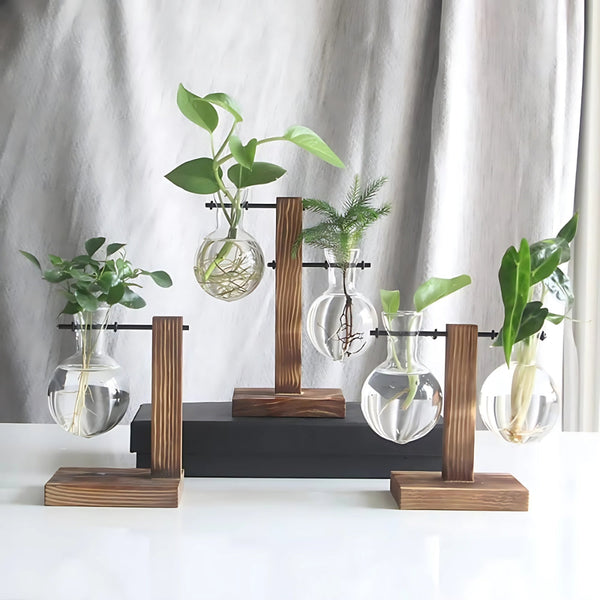 Modern Glass Bulb Vase With Wooden Stand For Hydroponic Plants Vases