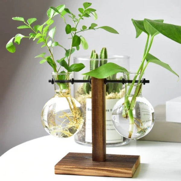 Modern Glass Bulb Vase With Wooden Stand For Hydroponic Plants Vases