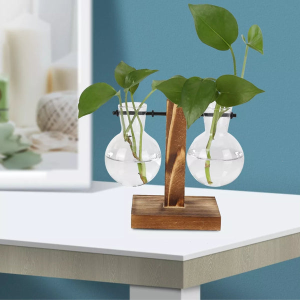 Modern Glass Bulb Vase With Wooden Stand For Hydroponic Plants Vases