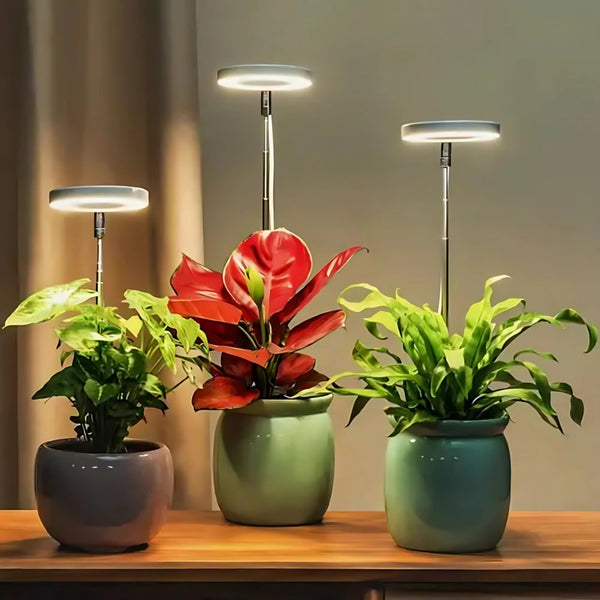 Led Plant Growth Light Usb Timer Adjustable Height Decorative Lighting